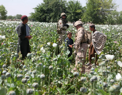 ФСКН перекрыла наркотрафик из Средней Азии