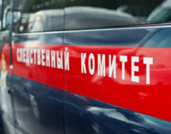 Житель Самары шантажировал мать убийством сестры Житель Самары шантажировал мать убийством сестры