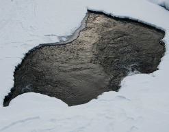 Тот еще кадр: школьник упал в полынью ради селфи