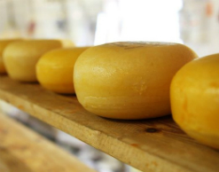 Москвичка украла из грузовика почти 50 кг сыра Москвичка украла из грузовика почти 50 кг сыра