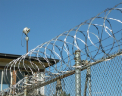 Отмечая выход мужа из тюрьмы, женщина избила полицейского