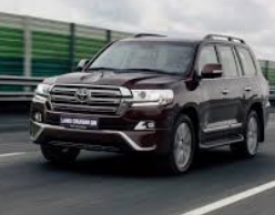 Омичи угнали Land Cruiser, чтобы свозить даму в зоопарк