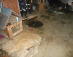 Житель Приморья провалился под землю у себя во дворе