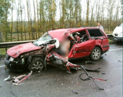 Пять человек пострадали в ДТП из-за кабана Пять человек пострадали в ДТП из-за кабана