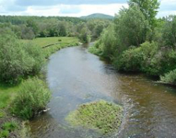 Отец и дочь утонули, пытаясь переплыть Урал Отец и дочь утонули, пытаясь переплыть Урал