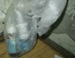 В сибирском общежитии нашли бутылку "вируса Эбола"