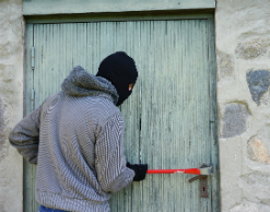 ТОП-2017: пять самых глупых преступлений