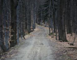 Ленивый курьер избавил должников от писем приставов