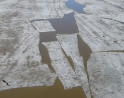 В Новгороде ищут девочку, уплывшую на льдине В Новгороде ищут девочку, уплывшую на льдине