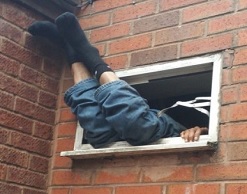 Охотник до куриц застрял, пытаясь похитить их из кафе