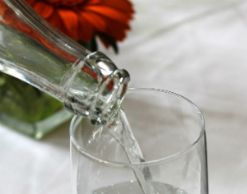 Открытая бутылка стала причиной жестокого убийства Открытая бутылка стала причиной жестокого убийства