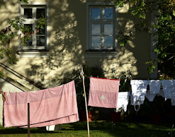 Жительницу Урала осудили за незаконное гостеприимство