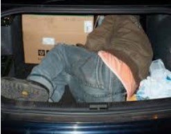 В Ленобласти ищут автомобиль с трупом в багажнике В Ленобласти ищут автомобиль с трупом в багажнике