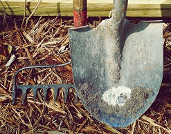 Жена схронила мужа в погребе ради его пенсии Жена схронила мужа в погребе ради его пенсии