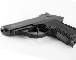 В вологодской школе родители ученика устроили драку со стрельбой