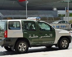 Пьяная россиянка покусала полицейского в Дубае Пьяная россиянка покусала полицейского в Дубае