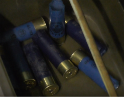 Новосибирский школьник убил друга из ружья деда Новосибирский школьник убил друга из ружья деда