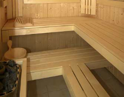 В Костроме поймали серийную грабительницу саун