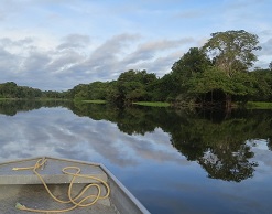 Семья из США уплыла от пиратов на доске для серфа