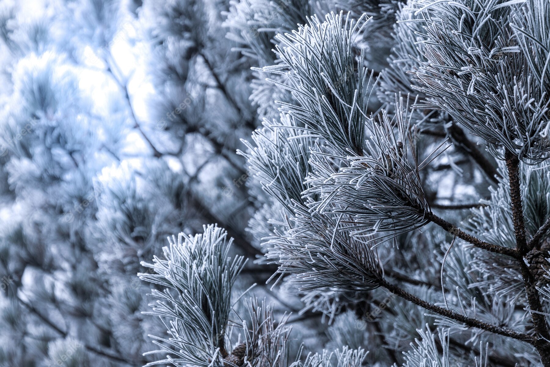 ЧТО ДЕНЬ ГРЯДУЩИЙ НАМ ГОТОВИТ?