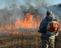 В Приморье крупный пожар, огонь тушат пятые сутки В Приморье крупный пожар, огонь тушат пятые сутки
