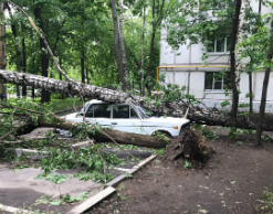 Число жертв московского урагана достигло 16 человек