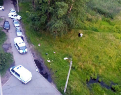 Питерская пенсионерка убивала знакомых Питерская пенсионерка убивала знакомых