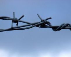 Самарский сутенер, убивший двух несовершеннолетних девочек, осужден на 25 лет