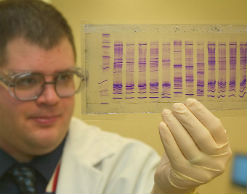 В Кузбассе раскрыли убийство девятилетней давности В Кузбассе раскрыли убийство девятилетней давности