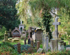 Мужчина выкопал 2,5 кг наркотиков на кладбище