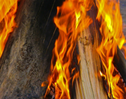При пожаре в Екатеринбурге погибли два человека