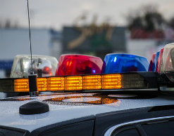 Француженка прятала детей от мужа в морозилке Француженка прятала детей от мужа в морозилке