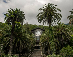 Туристы раскупили места в несуществующем пансионате