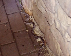 Пьяный уфимец не дал МЧС поймать беглого питона