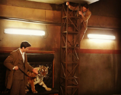 На Аскольда Запашного напала тигрица