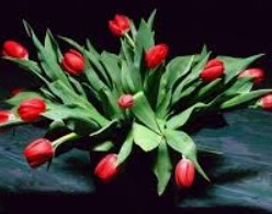 Житель Алтая сломал сестре ребра "в подарок" на 8 марта Житель Алтая сломал сестре ребра "в подарок" на 8 марта