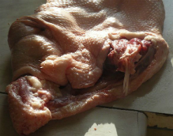 Мужчина донес на соседей за санкционные продукты