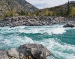 Туристка утонула в Катуни, устроив заплыв ради видео