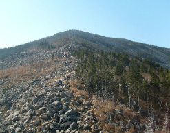 На приморской горе потерялись две туристки На приморской горе потерялись две туристки