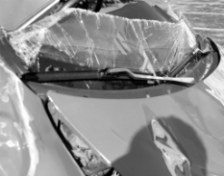 В ДТП в Ленобласти погибли 5 человек, включая ребенка