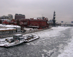 Женщина упала в Москву-реку с Нагатинского моста Женщина упала в Москву-реку с Нагатинского моста