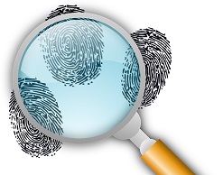 Женщина выследила вора, как у Агаты Кристи Женщина выследила вора, как у Агаты Кристи